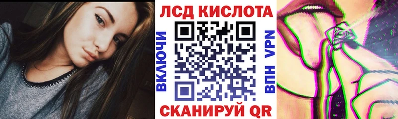 закладки Родники Марки N-bome 1500мкг