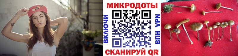 мориарти телеграм  Родники  Галлюциногенные грибы GOLDEN TEACHER 